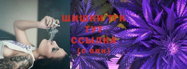 амф Кукмор