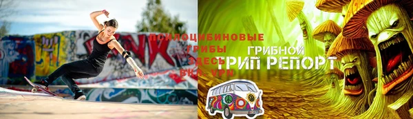 амф Кукмор