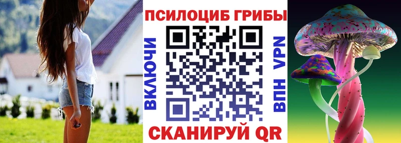 Псилоцибиновые грибы Psilocybe  Мценск 