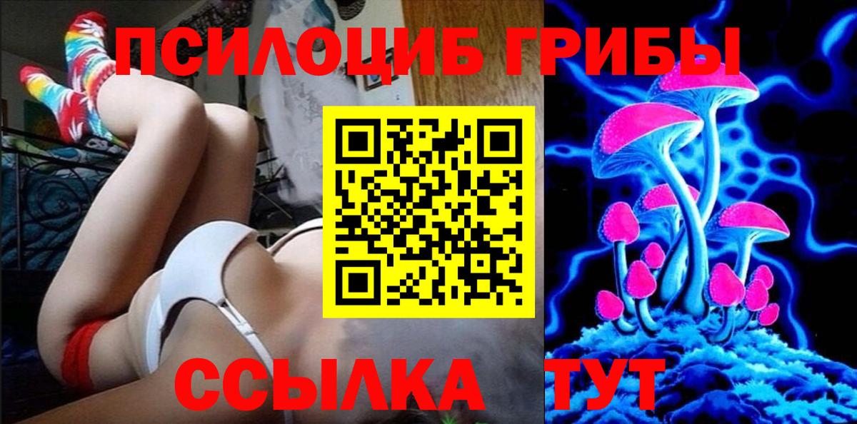 Галлюциногенные грибы прущие грибы Мценск