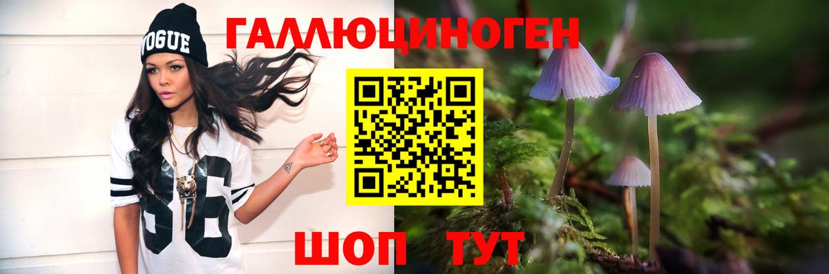 Псилоцибиновые грибы MAGIC MUSHROOMS  Вход с VPN  Мценск 