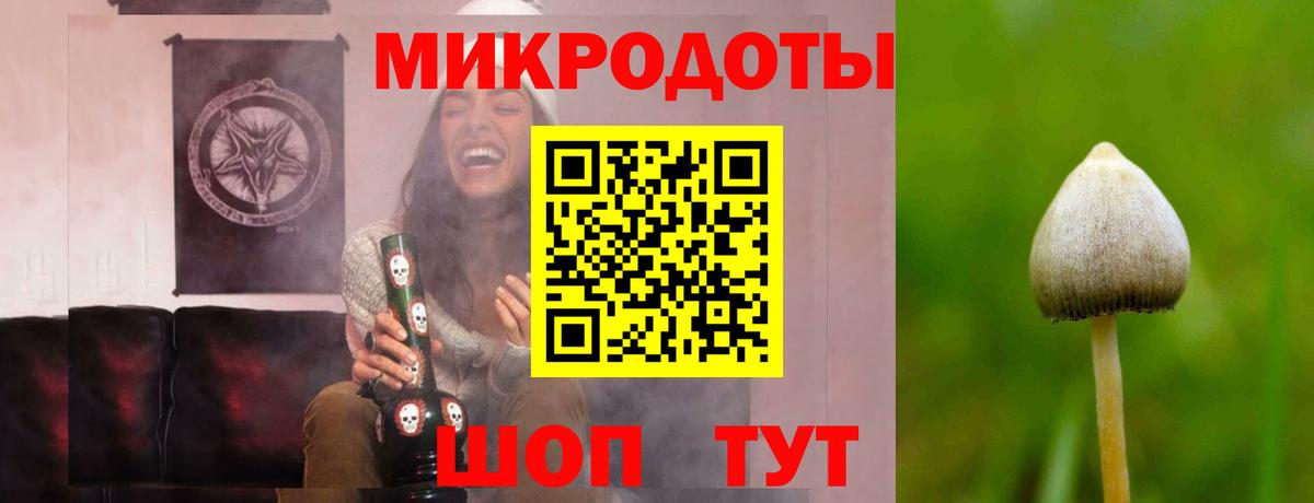 Галлюциногенные грибы Cubensis  что такое   Мценск 